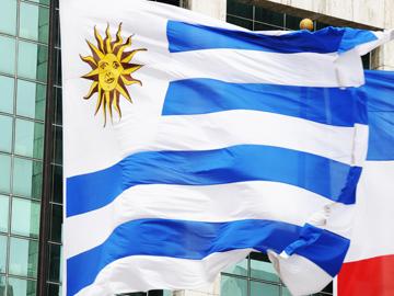 Bandera uruguaya Bandera uruguaya