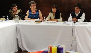 La integrante de la Unidad Étnica Racial del Ministerio de Relaciones Exteriores, Stella Vera, expone en nombre del Gobierno uruguayo La integrante de la Unidad Étnica Racial del Ministerio de Relaciones Exteriores, Stella Vera, expone en nombre del Gobierno uruguayo