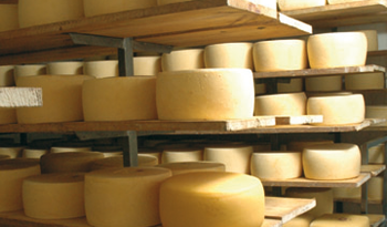 Uno de los ejes de desarrollo local es fortalecer la cuenca lechera del sudeste de Uruguay