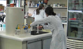 Técnicos trabajando en laboratorio Técnicos trabajando en laboratorio