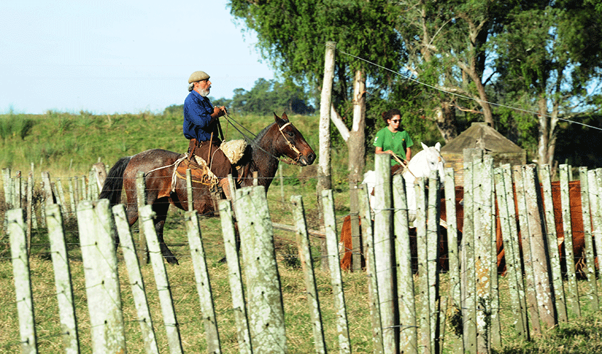 Trabajador rural Trabajador rural