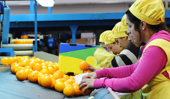 10.000 pesos de mínimo 10.000 pesos de mínimo