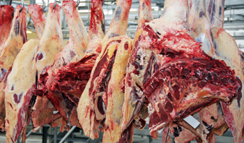 Carne uruguaya para el mundo Carne uruguaya para el mundo