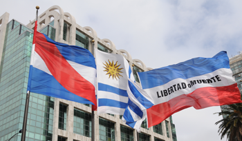 Torre Ejecutiva Torre Ejecutiva