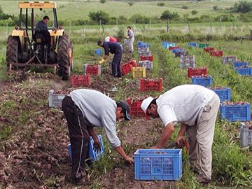Productores familiares Productores familiares