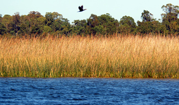 Río Santa Lucía