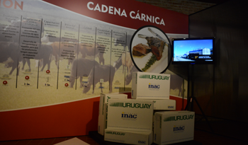Presentación de carnes uruguayas Presentación de carnes uruguayas