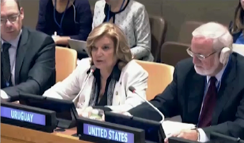 Ministra de Vivienda, Ordenamiento Territorial y Medio Ambiente, Eneida de León, en Naciones Unidas Ministra de Vivienda, Ordenamiento Territorial y Medio Ambiente, Eneida de León, en Naciones Unidas