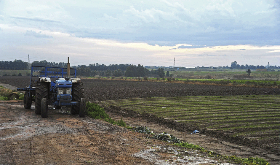 Tractor en el campo