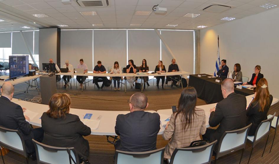 XL Reunión Plenaria sobre Derechos Humanos del Mercosur