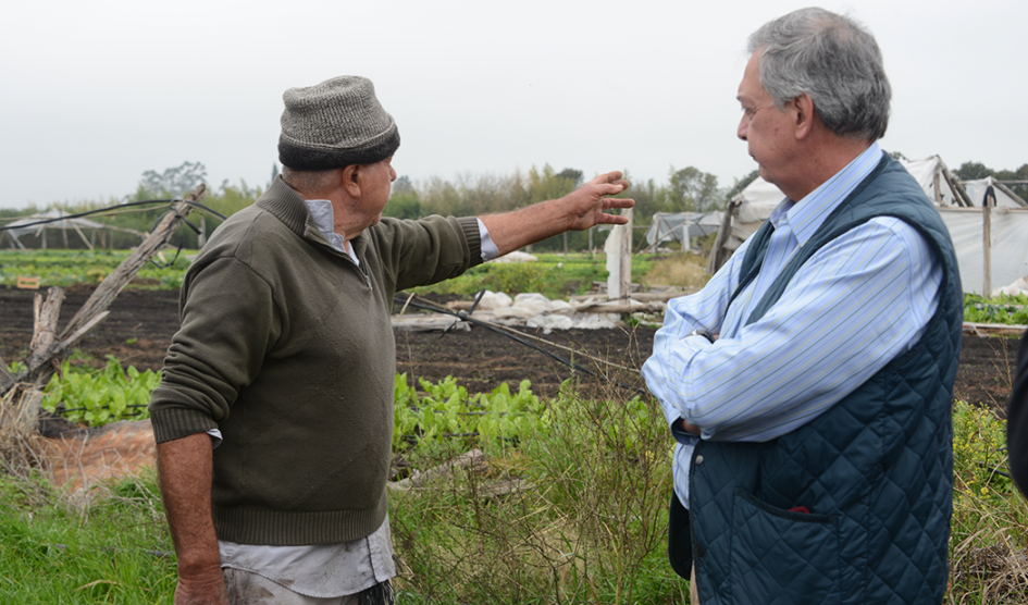 Ministro de Ganadería, Agricultura y Pesca, Fernando Mattos, dialoga con productor local