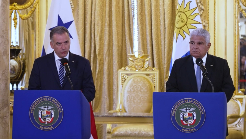 Orsi y Mulino