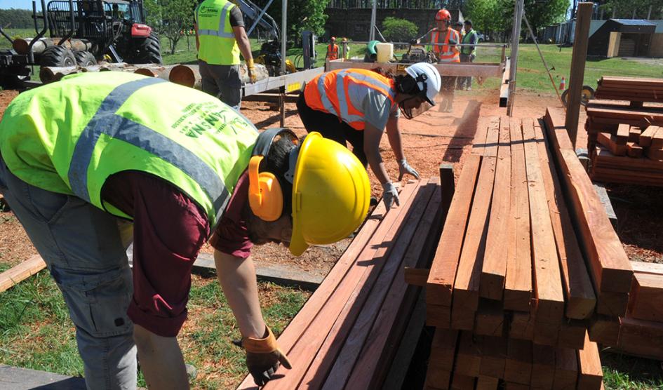 Estudiantes manipulan trozos de maderas