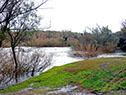 Montes de Queguay