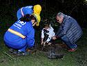 Plantatón Uruguay comenzó en Artigas con la plantación de 500 árboles nativos