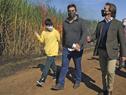 Presidente Lacalle Pou en zafra de la cosecha de caña de azúcar en Bella Unión