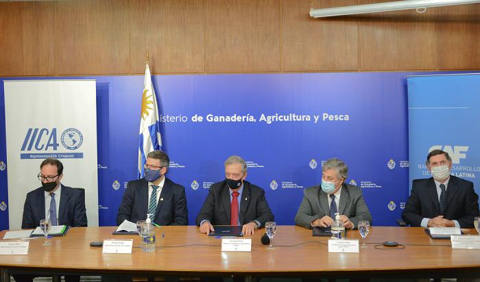 Uruguay mantendrá vacunación antiaftosa y comienza a inocular el 15 de marzo