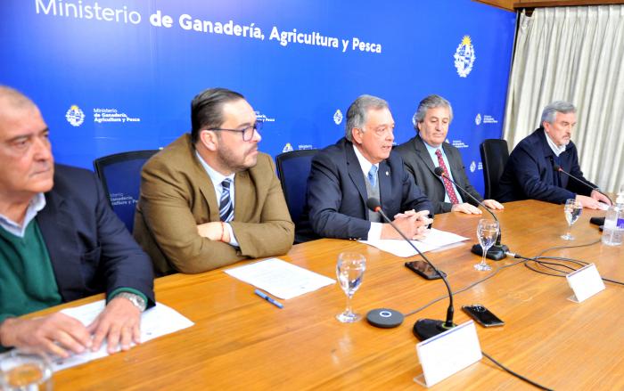 Gobierno habilitó importación de carne con hueso desde Brasil