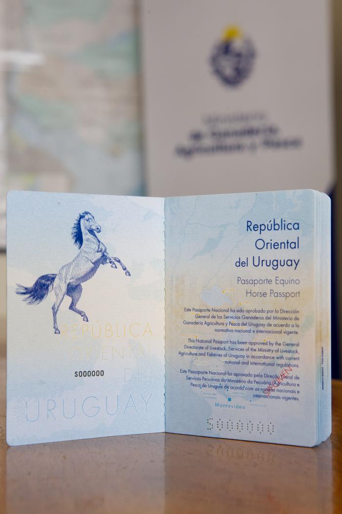Uruguay instrumentará pasaporte único para movilidad de caballos