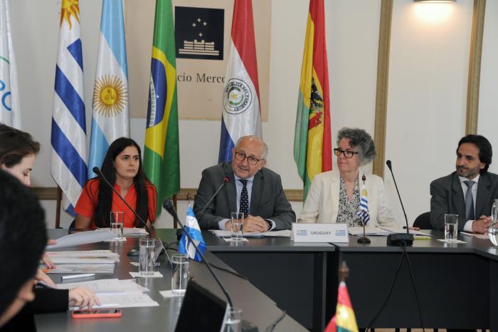 Imágenes de la Reunión de Ministros de Cultura del Mercosur