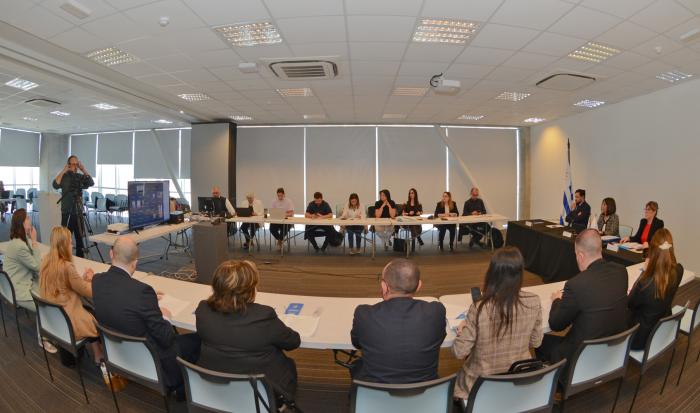 Uruguay preside la XL Reunión Plenaria sobre Derechos Humanos del Mercosur