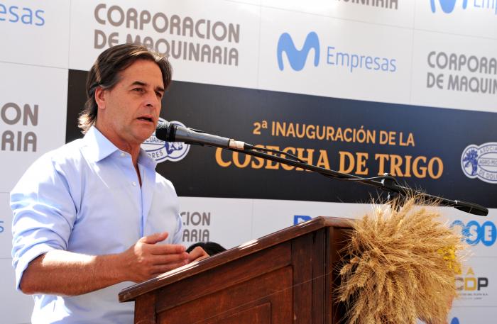 Presidente Lacalle Pou en inauguración de cosecha de trigo