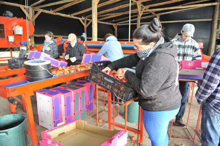 Imágenes de visita de autoridades de Inacoop a cooperativas de San José