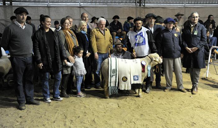 Imágenes de presidenta en ejercicio en premiación a grandes campeones en Expo Prado