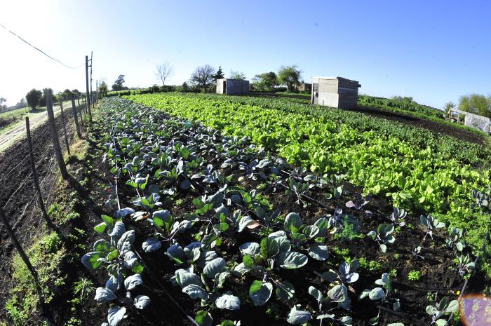 Productores de Paysandú reciben apoyo del Gobierno para optimizar calidad de producción