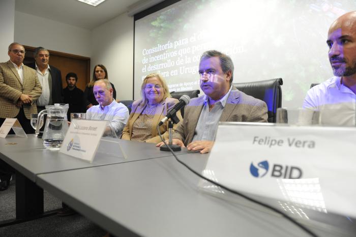 Presentación de incentivos para la construcción en madera