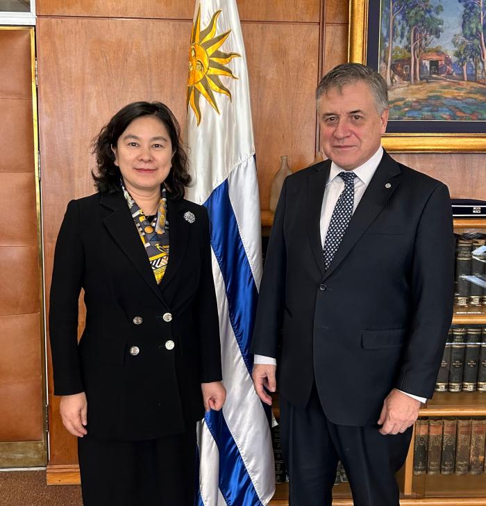 Mecanismo de diálogo entre Mercosur y China volvió a realizarse tras seis años