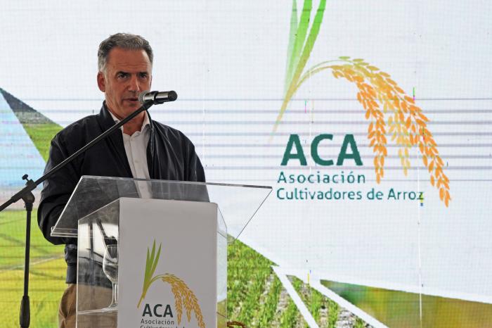 Presidente Yamandú Orsi en cosecha de arroz en Treinta y Tres