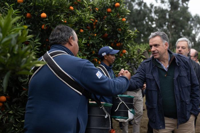 Presidente Orsi en inauguración oficial de la zafra citrícola 2025