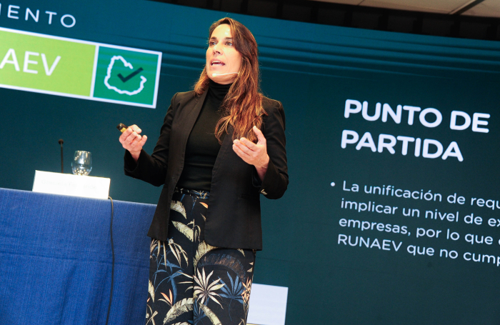 Gerenta de Acceso al Financiamiento de ANDE diserta parada con micrófono de vincha.