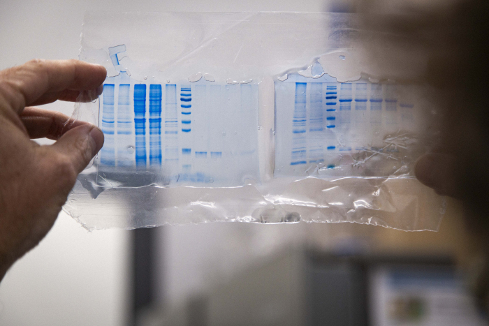 Salud Pública, Ganadería y Ambiente unen acciones para reducir resistencia antimicrobiana en persona