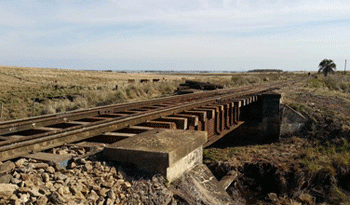 El ferrocarril es una posibilidad de desarrollo productivo