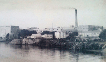 Imagen del Frigorífico Anglo en funcionamiento