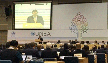 Reunión UNEA 2