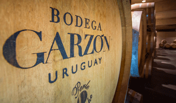 Barril de vino. Foto: Bodega Garzón.