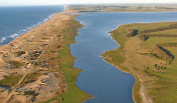 Zona protegida de la laguna de Rocha