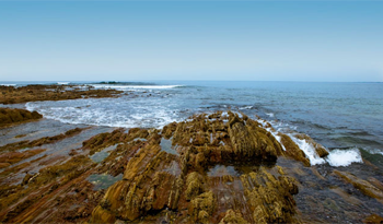 Costa oceánica. Imagen: Intendencia Departamental de Rocha