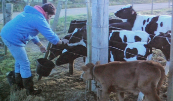 El trabajo rural será materia de divulgación por TNU (Canal 5)