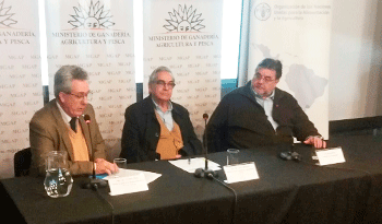 Vicente Plata, Enzo Benech y Eber Da Rosa