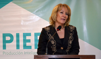 Ministra de Industria, Energía y Minería, Carolina Cosse