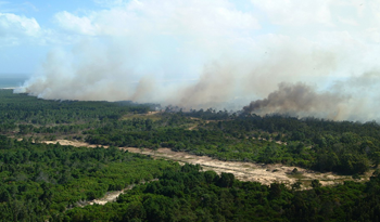 Prevención de incendios forestales