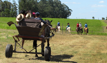 Agricultura subsidiada