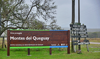 Montes del Queguay