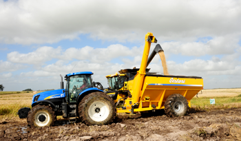 Producción de arroz Producción de arroz