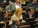 Carolina Cosse en cámara de Diputados