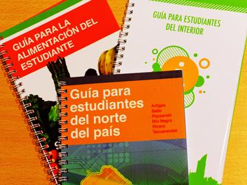 Guías para estudiantes